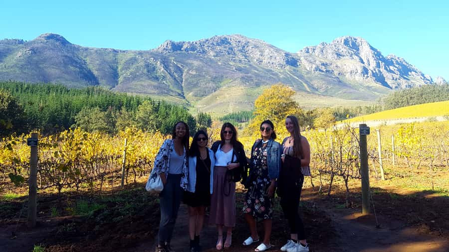 Stellenbosch: Eastern Route Hop-On Hop-Off Wine Tour - A wine day built around choice