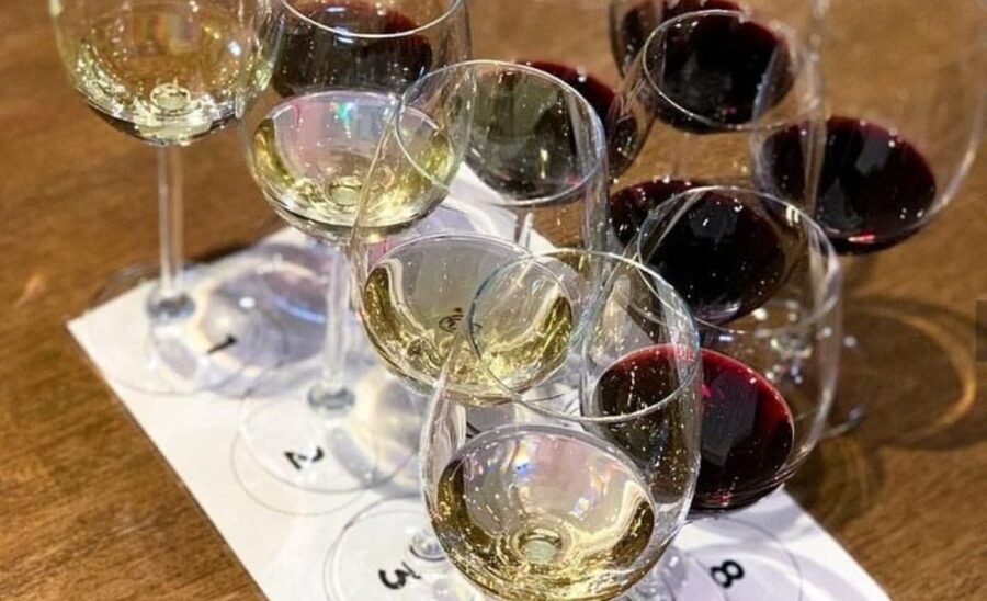 Stellenbosch: Half-Day Wine Tour - Who will enjoy this tour most?