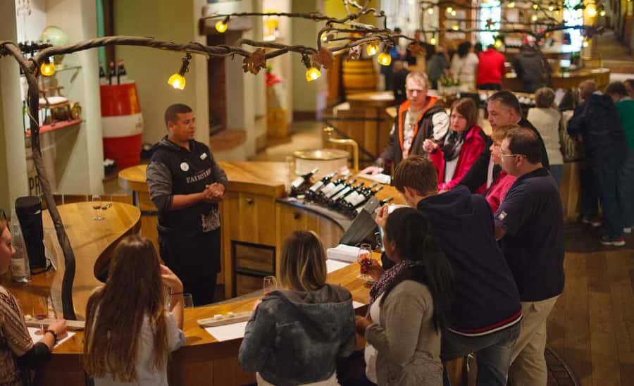 Stellenbosch: Half-Day Wine Tour - Two wine farms, four kinds of pairing