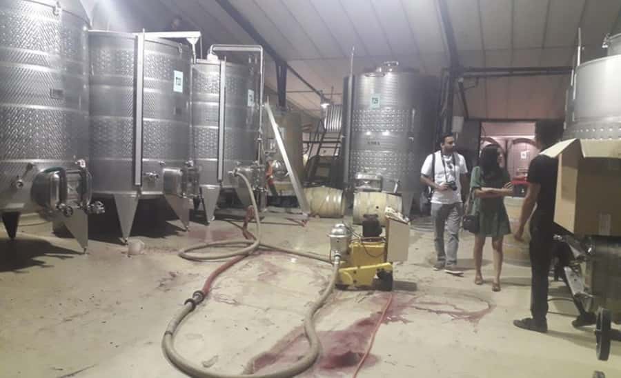 Stellenbosch: Half-Day Wine Tour - The second vineyard: biltong, chocolate, and French influence