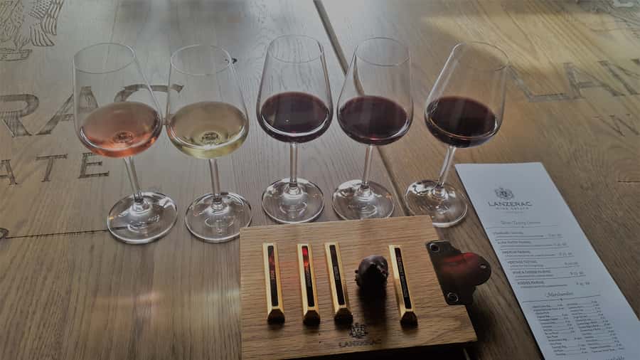 Stellenbosch: Historical Bike Tour & Wine Tasting - Second estate: Cape Dutch buildings, a cellar, and chocolate