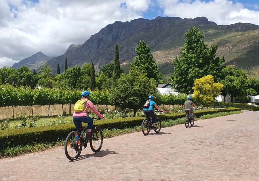 Stellenbosch: Historical Bike Tour & Wine Tasting - What the $92 price includes