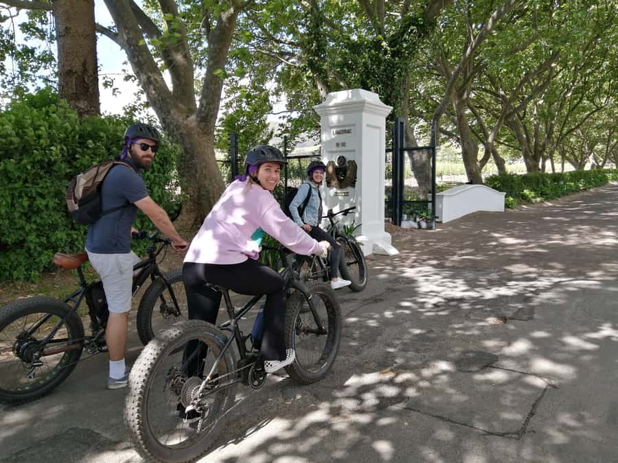 Stellenbosch: Wine Farm E-Bike Guided Tour - Why an e-bike works so well in Stellenbosch