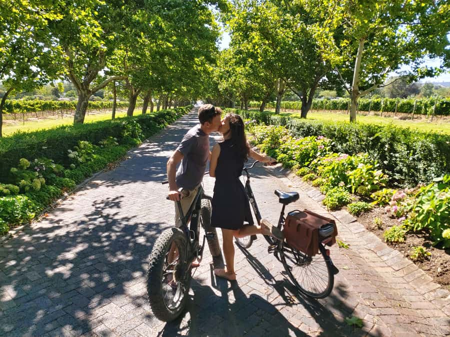 Stellenbosch: Wine Farm E-Bike Guided Tour - The first ride into Jonkershoek Valley
