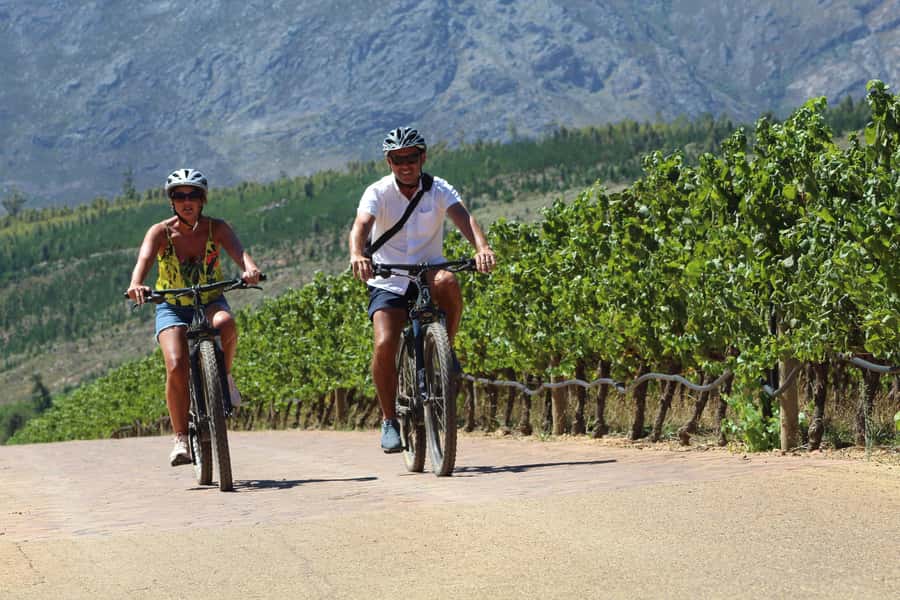 Stellenbosch: Wine Farm E-Bike Guided Tour - Meeting at Lanzerac Wine Estate