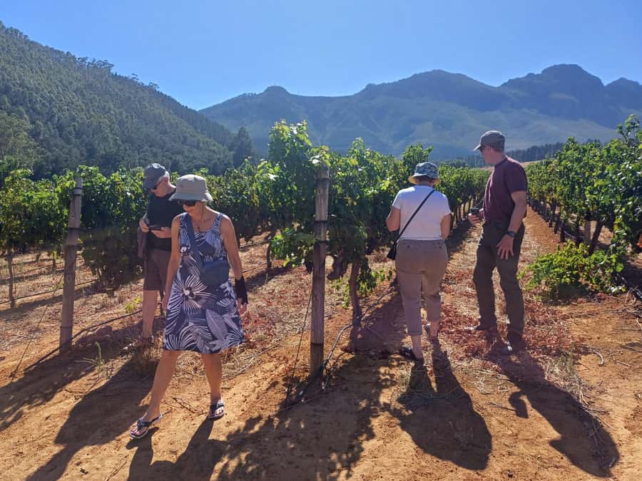 Stellenbosch wine tour, all inclusive of lunch and tastings. - A guide-led day with real local context