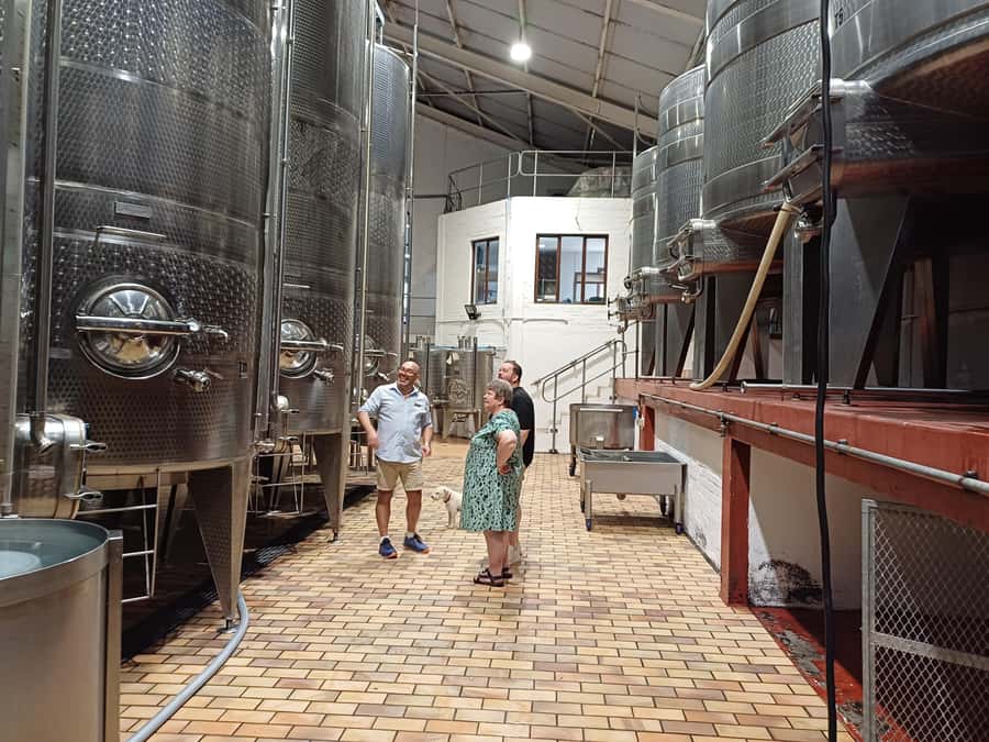 Stellenbosch wine tour, all inclusive of lunch and tastings. - Transport, comfort, and photography stops