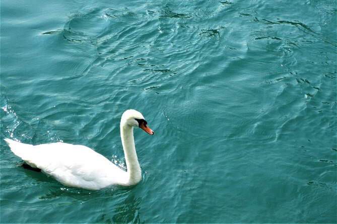 (STTG04) - Sightseeing Cruise at Geneva with Wine and Aperitif - What you see from the boat