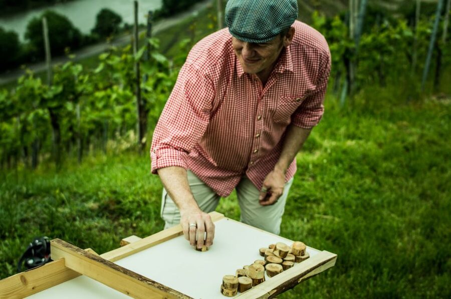 Stuttgart: Guided Vineyards Tour - Should You Book the Stuttgart Vineyard Walk?