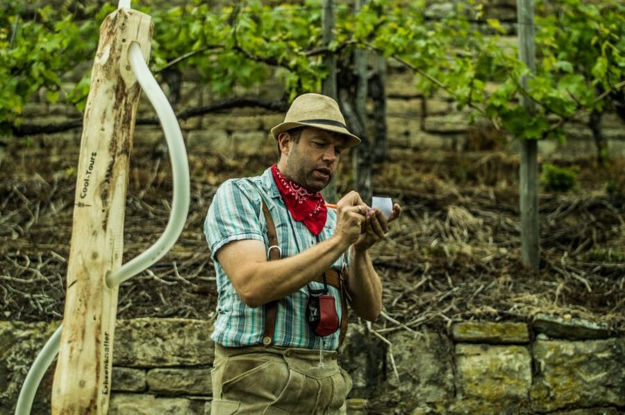 Stuttgart: Guided Vineyards Tour - Wine Games That Keep the Group Talking