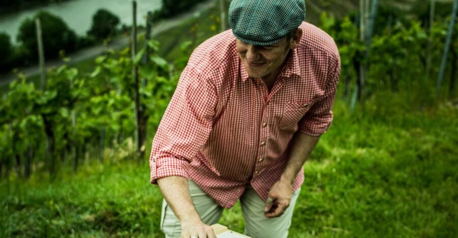 Stuttgart: Guided Vineyards Tour - Is $800 Good Value for Your Group?