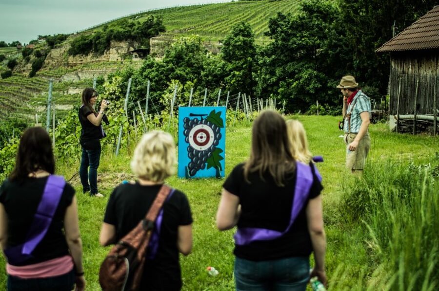 Stuttgart: Guided Vineyards Tour - Who Will Enjoy This Most