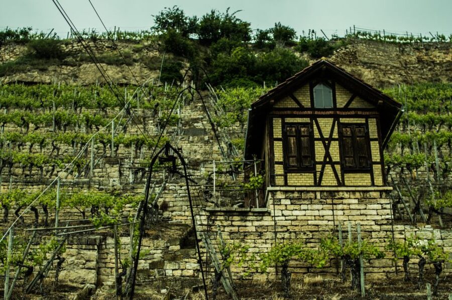 Stuttgart: Guided Vineyards Tour - Practical Details Before You Book