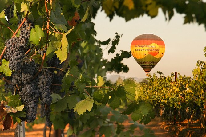 Sunrise Hot Air Balloon Flight over the Temecula Wine Country - Key points to know before booking
