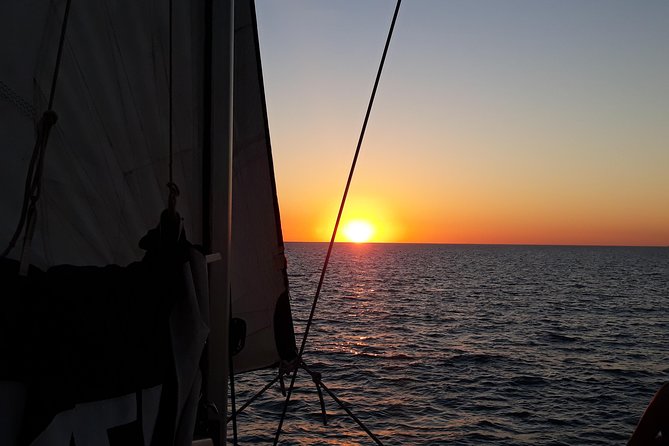 Sunset 3-Hour Cruise from Darwin with Dinner and Sparkling Wine - How the $132.69 price holds up
