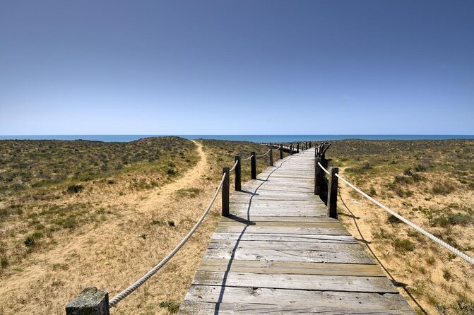 Sunset Beach Safari w/ Champagne & Chicken Piri Piri Dinner - A Three-Hour Algarve Evening That Builds Toward Dinner