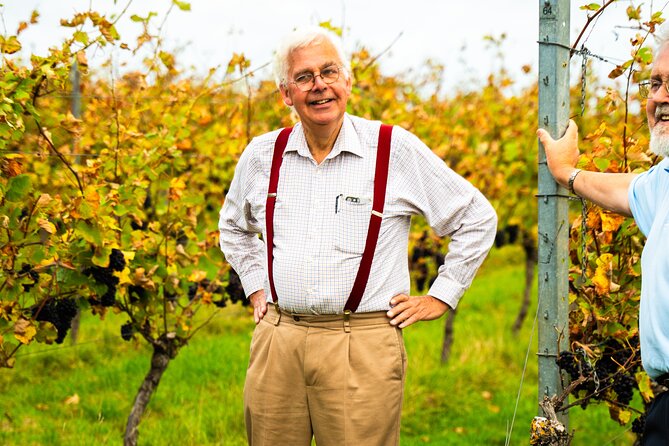 Sussex Vineyard & Winery Bus Tour on Iconic Vintage London Bus - Riding a Routemaster out of Brighton