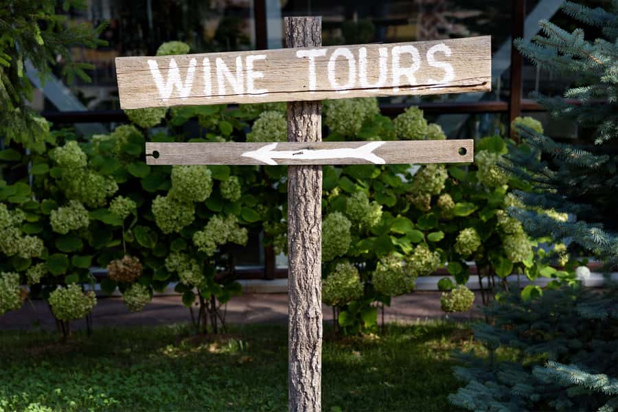 Swan Valley: Out for the Afternoon Wine Tasting with Lunch - Who will get the most from the $91 price
