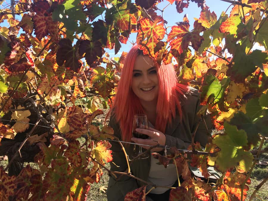 Swan Valley: Out for the Afternoon Wine Tasting with Lunch - My booking advice