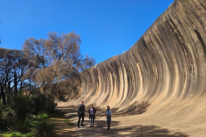 Swan Valley Wine Cruise - The two-hour return cruise to Perth
