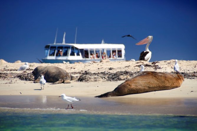 Swan Valley Wine Cruise - Who should book this experience?