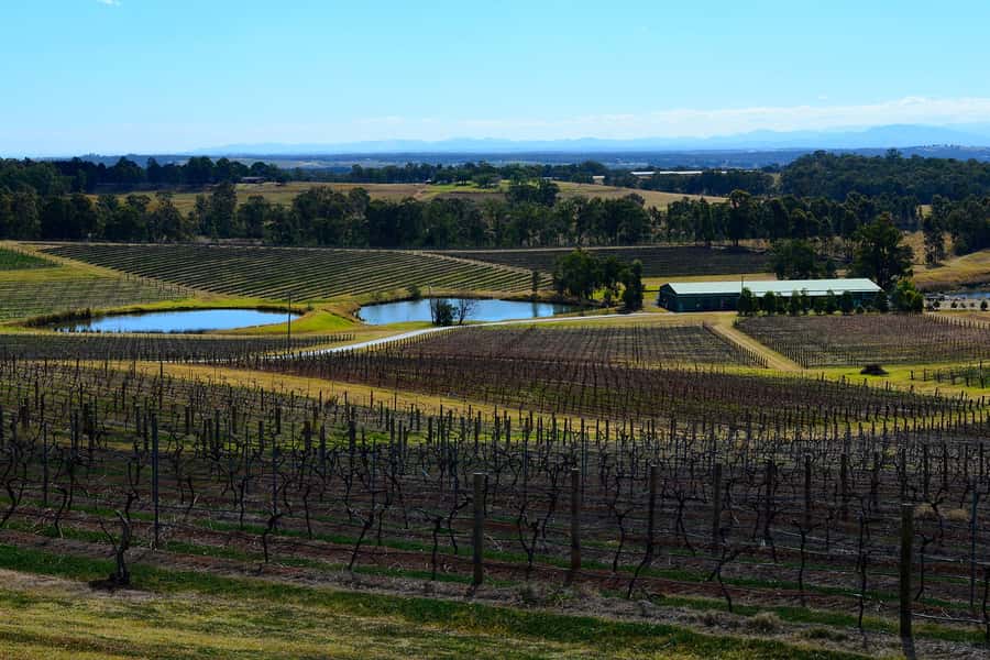 Sydney: Chef-Led Hunter Valley Food & Wine Tour - Key points at a glance