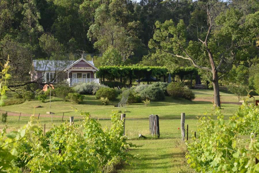 Sydney: Chef-Led Hunter Valley Food & Wine Tour - Why this food tour feels different
