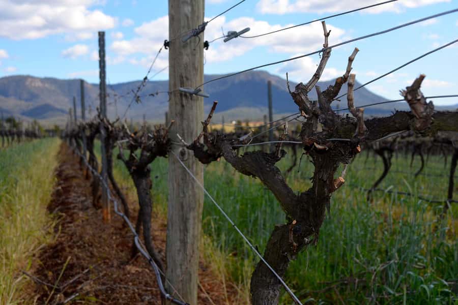Sydney: Chef-Led Hunter Valley Food & Wine Tour - Chocolate, something sweet, and the final course