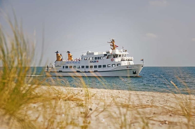 Sylt: Shell safari with boat | incl. Mussel tasting & 1 glass of wine - At Hörnum harbor, finding the Adler VI