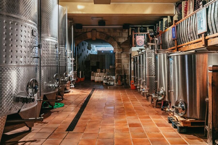 Tacoronte: Guided Winery Tour with Wine and Cheese Tastings - Staying for lunch and shopping afterward