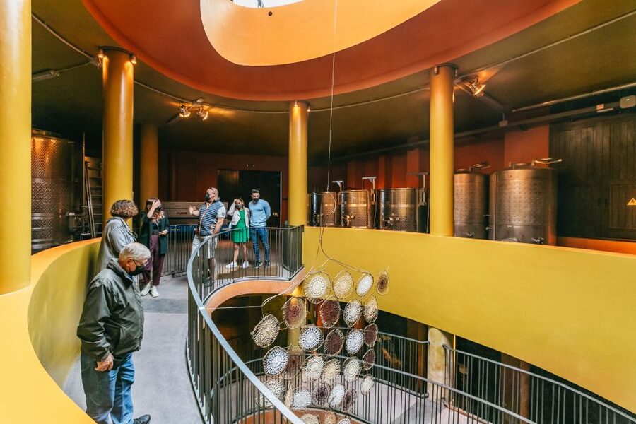 Tacoronte: Guided Winery Tour with Wine and Cheese Tastings - Who will enjoy this winery tour most