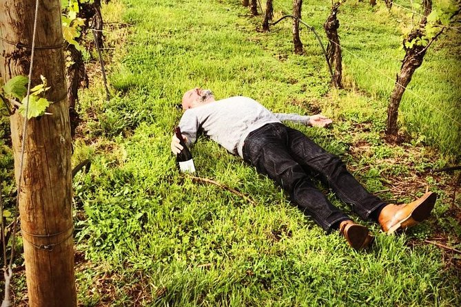 Tamar Valley Wine Tour with Lunch - A small group that stays social