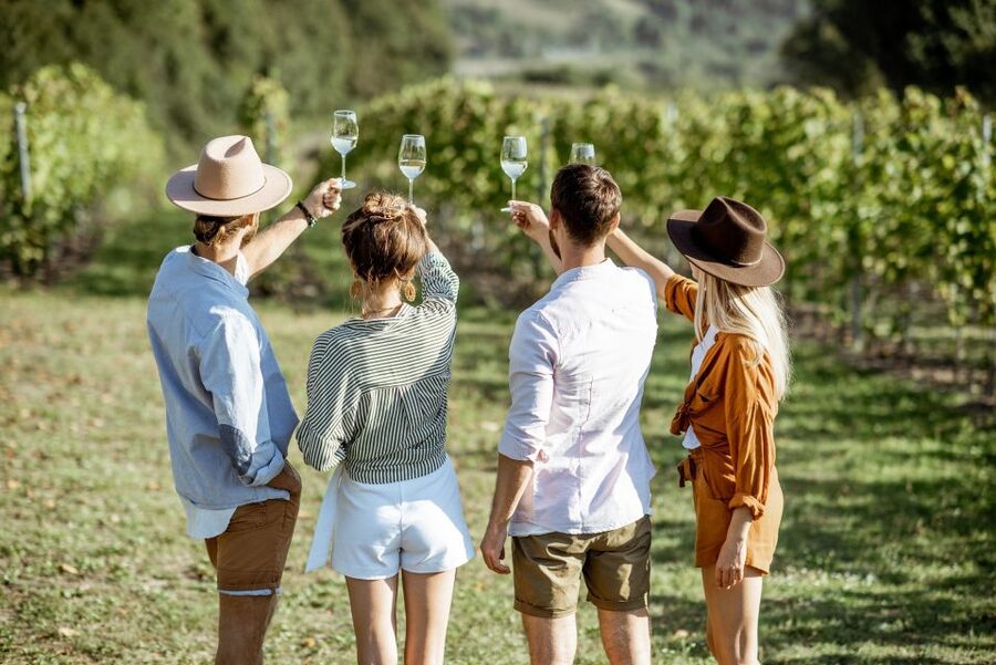 Taormina: Guided Etna Wine Tasting Half-Day Tour - Meeting the bus around Taormina