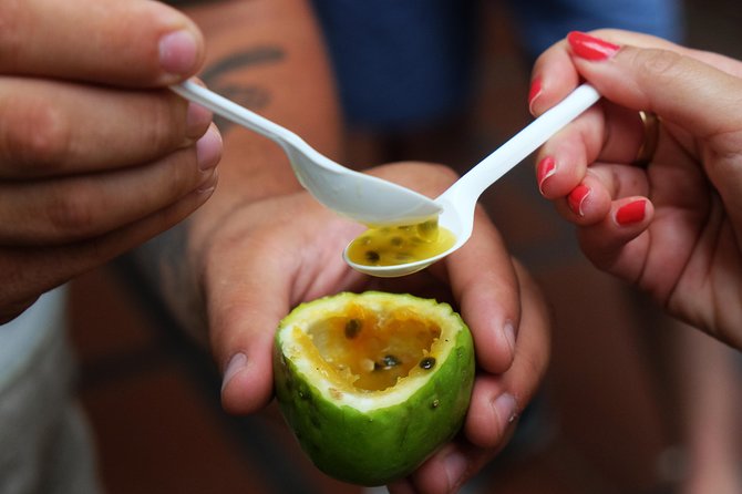 Taste Funchal: food, wine & cultural tour - Why this food walk works as a first day in Funchal