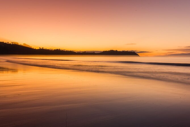Taste of Waiheke Food and Wine Tour - Cable Bay adds another vineyard setting