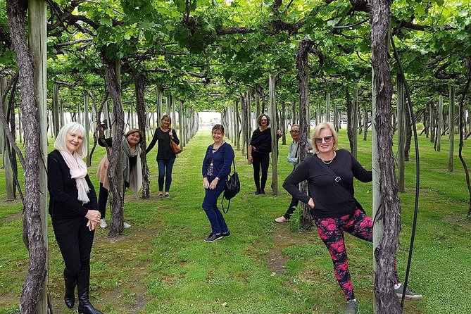 Taste the Valley Wine Tour in Marlborough with Wine Tasting - What the strongest praise tells you