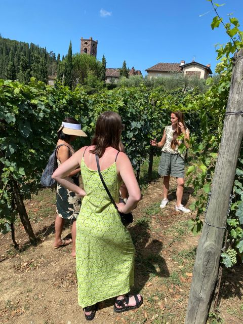 Tasting in a Tuscan Vineyard with transfer from Pisa - Should you book this wine tour?