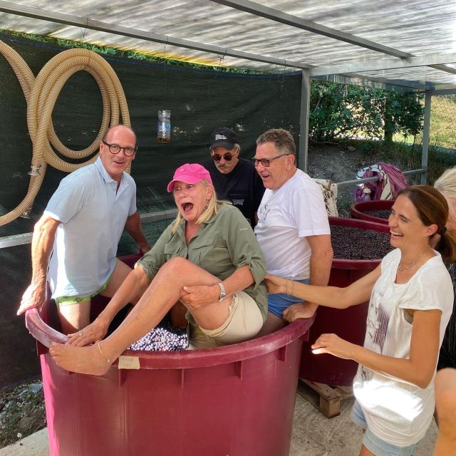 Tasting in a Tuscan Vineyard with transfer from Pisa - The 30-minute ride from Porta a Lucca