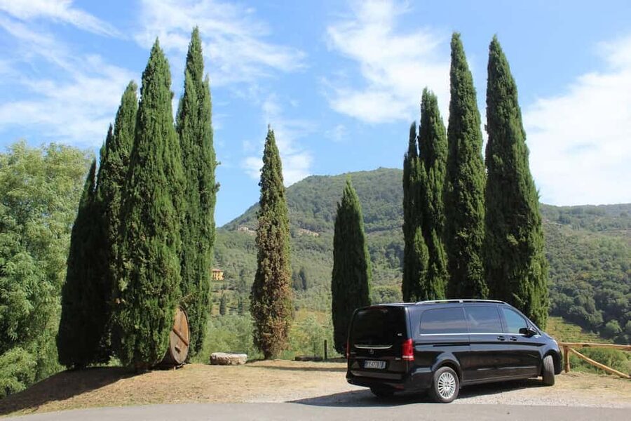 Tasting in a Tuscan Vineyard with transfer from Pisa - Inside the cellar with the people who make the wine
