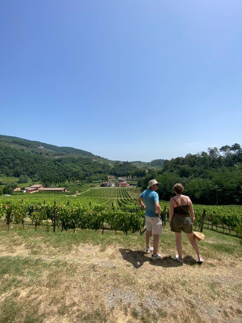 Tasting in a Tuscan Vineyard with transfer from Pisa - Who should book this vineyard outing