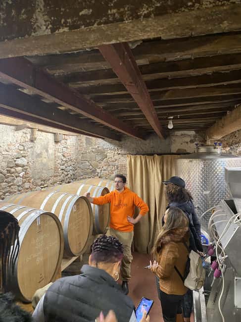 Tasting in a Tuscan Vineyard with transfer from Pisa - Walking among the vines