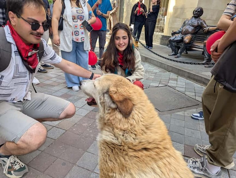 Tbilisi: Evening Walking Tour with Wine & Boat Ride Options - The Peace Bridge after dark