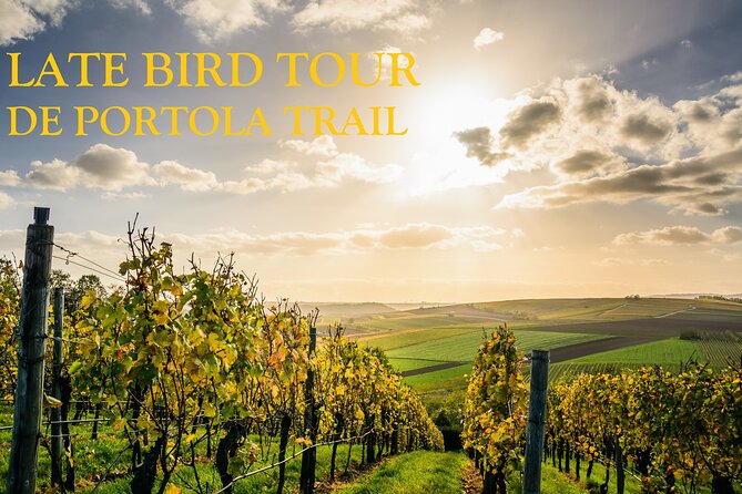 Temecula's Premier Wine Tasting Tour - South Coast Winery starts the tasting