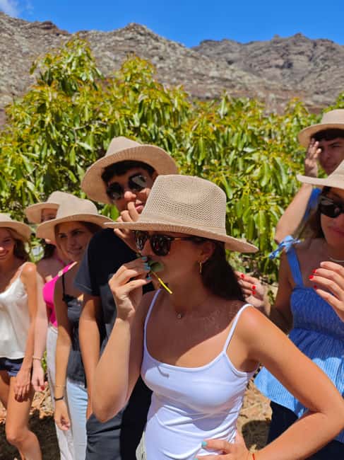 Tenerife: Avocado Farm Tour with Tasting Menu & Wine - Key points at a glance