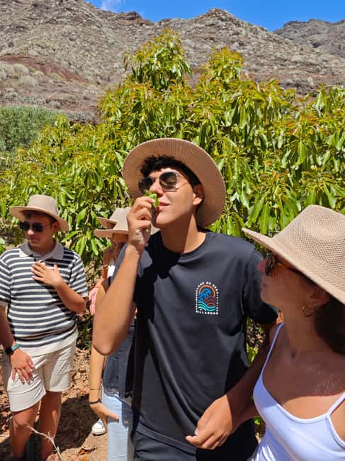 Tenerife: Avocado Farm Tour with Tasting Menu & Wine - Reaching Finca Coviella from Santa Cruz