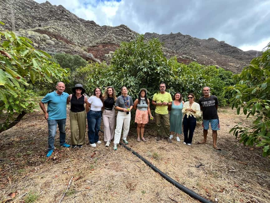 Tenerife: Avocado Farm Tour with Tasting Menu & Wine - Why the orchard setting adds value