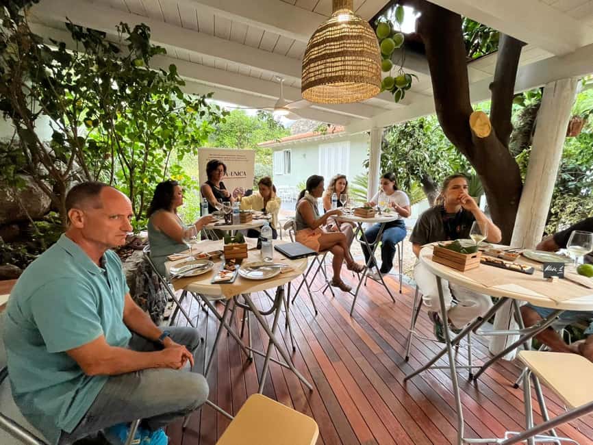Tenerife: Avocado Farm Tour with Tasting Menu & Wine - Group size, pace, and who will enjoy it