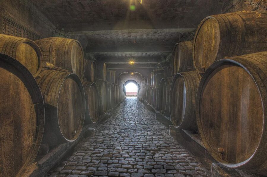 Tenerife: Full-Day Gastronomy and Wine Tour - Transport, pickup, and the pace of the day