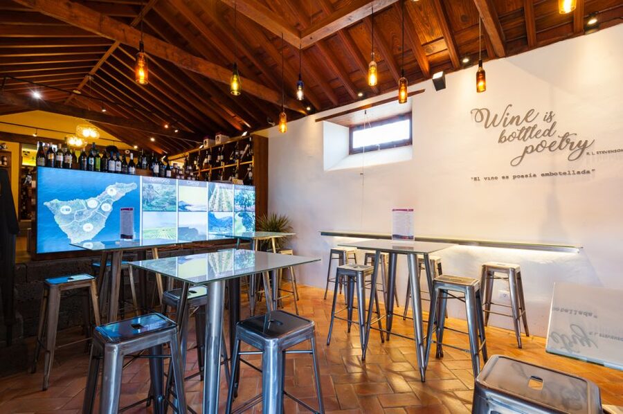 Tenerife: Full-Day Gastronomy and Wine Tour - Who should book this tour?