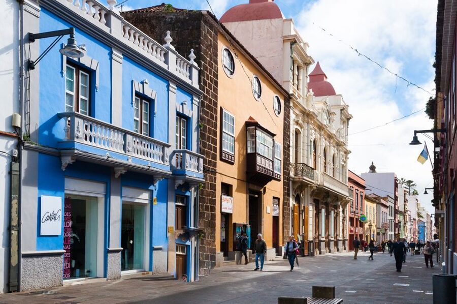 Tenerife: Full-Day Gastronomy and Wine Tour - Casa del Vino: a short tasting with cheese